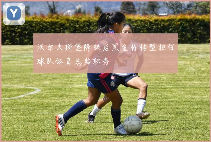 沃尔夫斯堡降级后黑金将转型担任球队体育总监职务