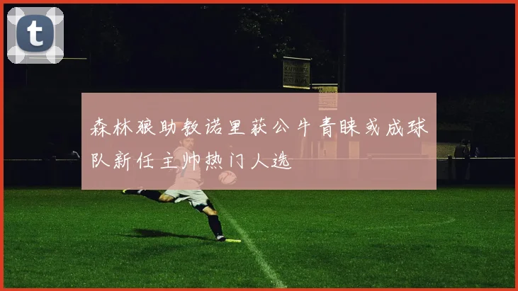 森林狼助教诺里获公牛青睐或成球队新任主帅热门人选