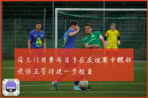 荷兰门将费布吕亨在友谊赛中髋部受伤正等待进一步检查