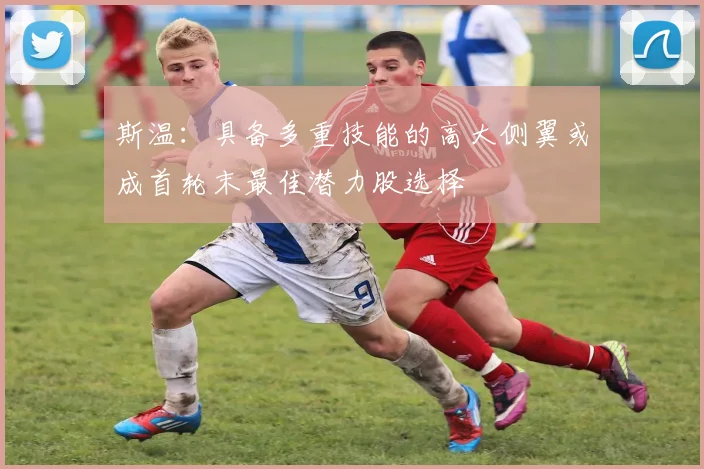 斯温：具备多重技能的高大侧翼或成首轮末最佳潜力股选择